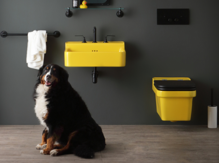 lavabo Industrialis color