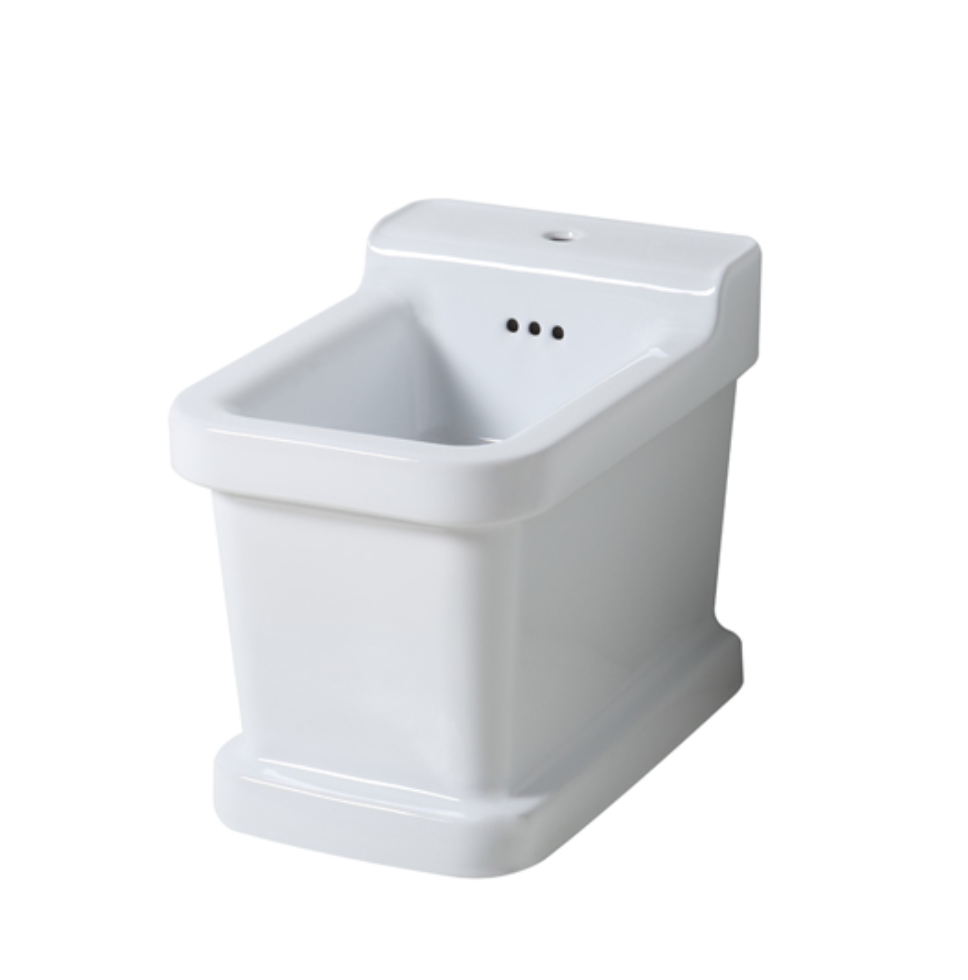 bidet Industrialis  a tierra