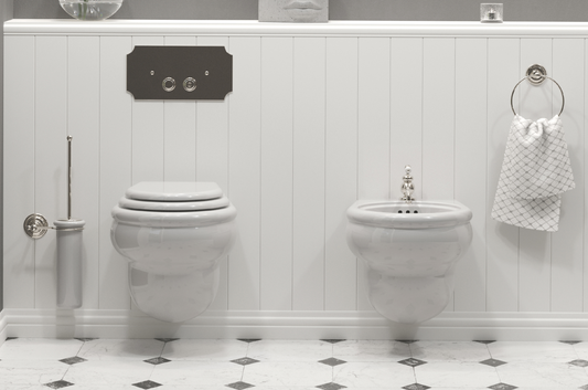 imagen wc suspendido Romantica estilo Vintage