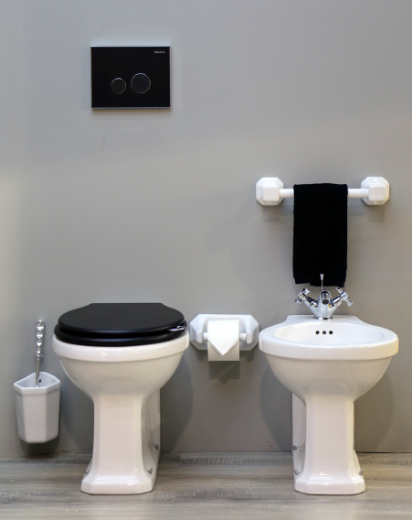 vista inodoro y bidet btw neoclasic estilo Vintage
